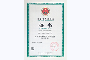 安全標準化證書